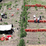 Cukurova039da-Sogan-Hasadi-Suruyor.jpg