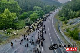 Kozanli-gocerlerin-yayla-yolculugu-basladi.jpg