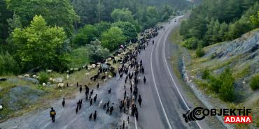 Kozanli-gocerlerin-yayla-yolculugu-basladi.jpg