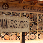 adanada-hayata-gecirilen-ari-oteli-dunyanin-en-buyugu-guinness-tescil-etti-e4wo.jpg