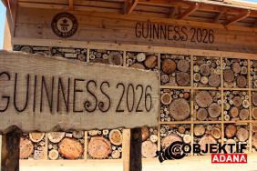 adanada-hayata-gecirilen-ari-oteli-dunyanin-en-buyugu-guinness-tescil-etti-e4wo.jpg