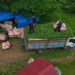karadeniz-insani-yine-zekasini-konusturdu-zor-isi-kolaylastirdi-s6gk.jpg