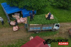 karadeniz-insani-yine-zekasini-konusturdu-zor-isi-kolaylastirdi-s6gk.jpg