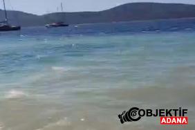 bodrumda-deniz-kirliligine-sorusturma-baslatildi-ewm6.jpg