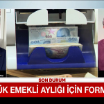 en-dusuk-emekli-ayligi-icin-formul-ne-d5ih.jpg