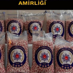 izmirde-280-bin-sentetik-ecza-ele-gecirildi-3-gozalti-4gqo.jpg