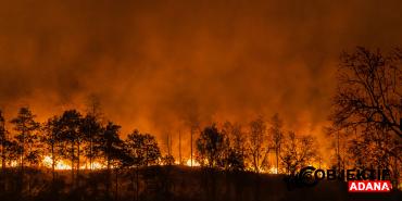 super-el-nino-alarmi-yeni-bir-iklim-krizine-hazir-miyiz-nlnh.jpg