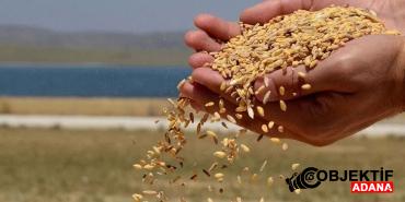 toprak-mahsulleri-ofisi-5-milyon-tonluk-hububat-aldi-bcgp.jpg