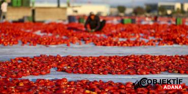 turkiyenin-lezzeti-91-ulkeyi-fethetti-kapis-kapis-satiliyor-zzuq.jpg