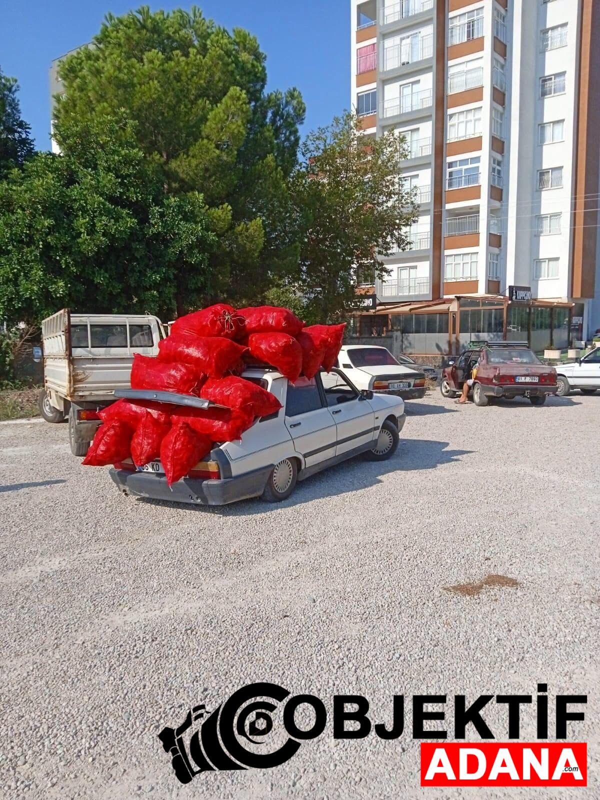 Kozanda-Salca-Sezonu-Basladi-Toroslar-Biberle-Doldu.jpeg