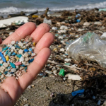 akdenizin-gozyaslari-mikroplastik-kiyiya-vuruyor-ifcs.jpg