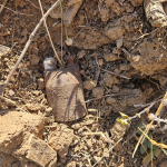 bursada-kurtulus-savasindan-kalma-el-bombalari-bulundu-mnai.jpg