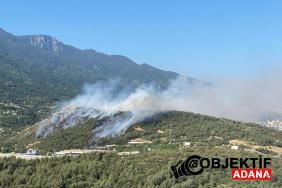 bursada-uc-farkli-noktada-orman-yangini-n8j8.jpg