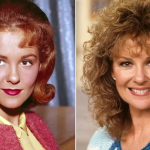 hollywoodun-unutulmaz-isimlerinden-oyuncu-ve-sarkici-shelley-fabares-hayatini-kaybetti-pelg.jpg