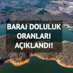 iski-acikladi-istanbul-barajlarinda-doluluk-orani-yuzde-kac-oldu-fal1.jpg