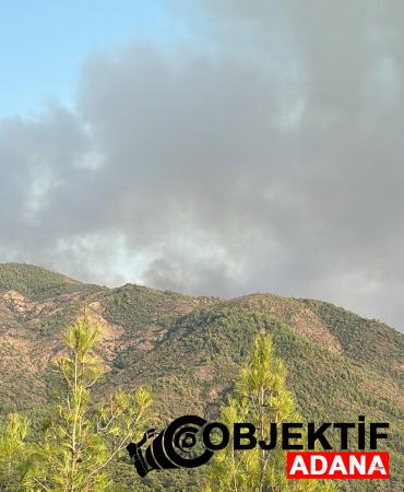 marmaristeki-orman-yangini-ikinci-gununde-ekiplerin-mudahalesi-devam-ediyor-cdzk.jpg
