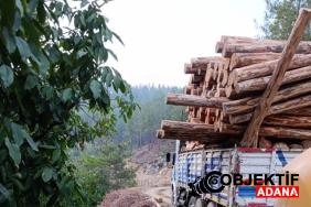 tomruklarin-altinda-feci-sekilde-can-verdi-le8f.jpg