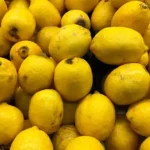 Adanada-Limon-Hasadi-Basladi-Bahcede-Kilogrami-6-12-Lira.webp.webp.webp
