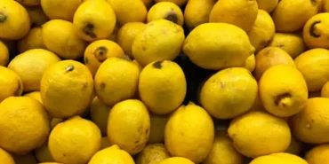 Adanada-Limon-Hasadi-Basladi-Bahcede-Kilogrami-6-12-Lira.webp.webp.webp