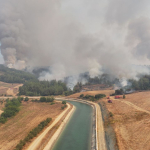 GUNCELLEME-Adana039daki-orman-yangini-kontrol-altina-alinmaya-calisiliyor.jpg