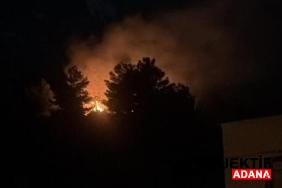 havai-fisegin-dustugu-ormanlik-alandan-alevler-yukseldi-mwj5.jpg