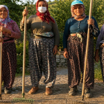 tirmigini-al-da-gel-demislerdi-ahmetlerin-direnisi-odulle-taclandi-joui.jpg