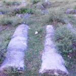 Adana-Anavarza-Antik-Kenti-Icin-Sahipsizlik-Tepkisi.jpeg