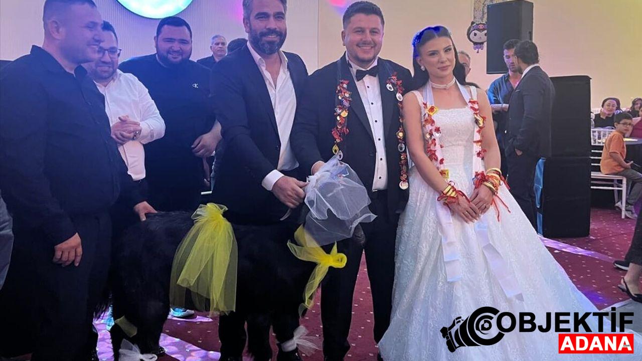 Adana039daki-dugunde-gelin-ve-damada-keci-hediye-edildi.jpg