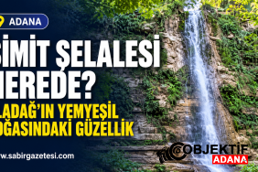 Aladag039in-Yemyesil-Dogasindaki-Guzellik-Simit-Selalesi.png