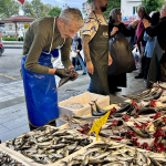 avrupa-balikciligi-icin-rapor-hangi-balik-turleri-sofralardan-eksilebilir-fvp7.jpg