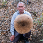 boylesini-ilk-kez-gordu-buldugu-dev-mantar-sepete-sigmadi-nxxf.jpg