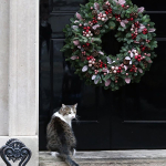 downing-street-kedisi-larry-ameliyat-sonrasi-gorevine-dondu-qlce.jpg