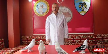 emekli-astsubay-cocukluk-hayalini-gerceklestirdi-40-guvercini-icin-aylik-10-bin-tl-harciyor-yh9d.jpg