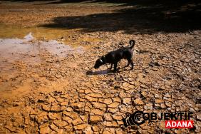 super-el-nino-gucleniyor-aralikta-zirve-yapacak-subata-kadar-surecek-hkh4.jpg