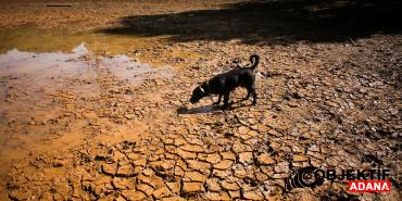 super-el-nino-gucleniyor-aralikta-zirve-yapacak-subata-kadar-surecek-hkh4.jpg