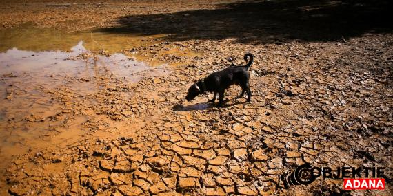 super-el-nino-gucleniyor-aralikta-zirve-yapacak-subata-kadar-surecek-hkh4.jpg