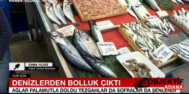 tezgahlarin-en-pahalisi-lufer-ve-sarikanat-koxk.jpg